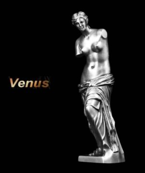 2022 90 Gram Silver Venus de Milo - Image 2