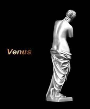 2022 90 Gram Silver Venus de Milo - Image 4