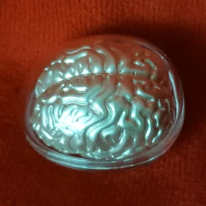 2023 Samoa "The Brain" 2oz Silver Proof-like 3D Shaped Coin - Image 10